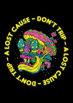 A Lost Cause Don't Trip Hoodie Mens