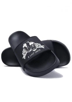 A Lost Cause Cheers Slides